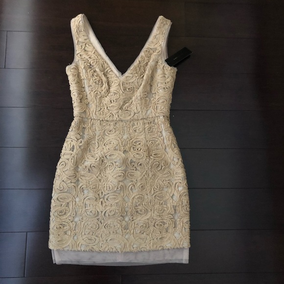 BCBG MAXAZRIA Marissa Champagne Dress - Picture 2 of 5